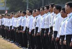 43 Ribu Pelamar Belum Diverifikasi! Waktu Pendaftaran Sekolah Kedinasan 2025 Tinggal 2 Hari Lagi