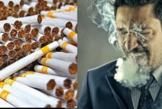 8 Dampak Sering Merokok Kretek Bagi Kesehatan,Berikut Penjelasannya