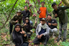 Hanya Hutan Konversi Boleh Dikelola Masyarakat Untuk Berkebun