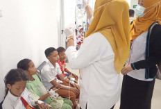 Hasil Uji Lab, Tempe Goreng Program Makan Bergizi Gratis Picu Keracunan Massal Pelajar
