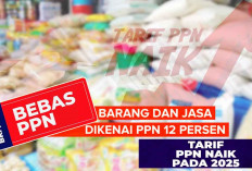 34 Barang dan Jasa Tak Dikenakan PPN 12 Persen, Berikut Daftarnya yang diterapkan 1 Januari 2025