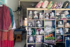 Nyuci Seterika Sehari Selesai di Homfresh Laundry Lubuk Linggau 