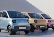 VinFast VF 2 Resmi Meluncur, Mobil Listrik Super Mini Ini Siap Jadi Solusi Baru Mobilitas Kota