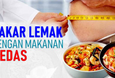 Pecinta Pedas Cocok Bagi Penderita Obesitas, Manfaatkan Cabai untuk Kesehatan