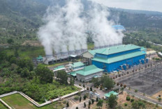 Penjualan REC Capai 6,43 TWh di 2025, Energi Bersih Semakin Diminati Sektor Industri dan Bisnis