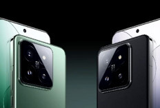 Spesifikasi Lengkap Xiaomi 15 yang Akan Meluncur Bulan Oktober 2024