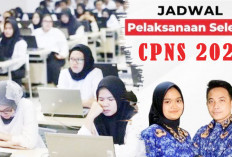 CPNS 2025 Dibuka Sampai Batas Usia 40 Tahun? Simak Peluang Formasi Lengkap dengan Syarat Khusus 