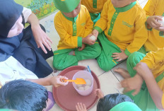 Kreativitas Anak Didik dan Inovasi di TK Nur Al Faeyza Lubuk Linggau