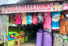 Eva Collections, Toko Boneka dan Bantal Favorit 