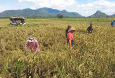 Pengangguran Rendah, Angka Kemiskinan Tinggi, DPRD Soroti “Anomali” di Musi Rawas