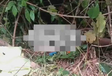 Pamit Pergi ke Kebun Kopi Warga Lubuk Linggau Ditemukan Meninggal Dunia di Kebun Karet di Musi Rawas
