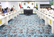 Kabar Baik, Harga Pakan Mahal Tidak Sebanding dengan Harga Telur, ini Langkah yang Diambil Mentan 