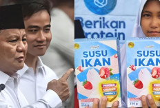 Susu Ikan Jadi Pengganti Susu Sapi di Program Makan Siang Prabowo-Gibran? Ini Penjelasannya 