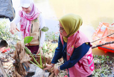PLN UID S2JB dan Yayasan Qur’anic Farm Gaungkan Gerakan Zero Waste: Bersihkan Sungai, Tanam Kesadaran