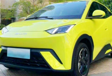 Mobil Listrik BYD Seagull Harga Murah Rp200 Jutaan, Cek Dulu Murah Bukan Berati Tidak Ada Risiko