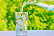2024 Tubuh Sehat, 9 Manfaat Minum Air Putih Bagi Kesehatan Tubuh