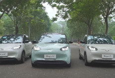 Daftar Mobil Listrik Terlaris di Indonesia Pada Bulan Lalu 2024, dari Brand BYD, Chery, Hyundai dan Wuling