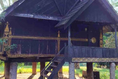  Taman Ribang Kemambang Paru-Paru Kota Lahat, Ruang Publik Inklusif Edukasi Hiburan