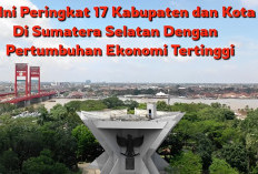 Ini Peringkat 17 Kabupaten dan Kota di Sumatera Selatan dengan Pertumbuhan Ekonomi Tertinggi