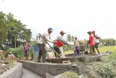 Baru 102 Desa di Musi Rawas Cairkan Dana Desa, BPKAD Ungkap Syarat Lengkap untuk Pencairan