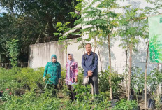 Sukseskan Program GSMP, Dosen UNPARI Lakukan Pemberdayaan Masyarakat Air Kuti untuk Budidaya Refugia 