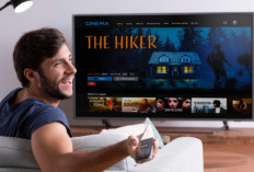 WOW! Ternyata Ini Alasan Video Makin Melejit di Smart TV, Bikin Brand Rebutan Pasang Iklan