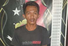 Siang Bolong, Pencuri Sapi Beraksi di Purwodadi Musi Rawas  