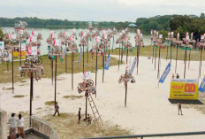 Mulai Hari ini Rangkaian Festival Panjat 80 Pohon Pinang, Digelar Sumatera Ekspres 