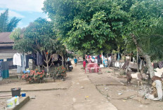 2 Rumah Suku Anak Dalam di Muratara Hanyut Terbawa Banjir Besar