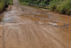 Jalan Sriwijaya di Lubuk Linggau Rusak Parah, Pengguna Jalan Mengeluh