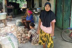 Olah Singkong jadi Berbagai Cemilan Enak