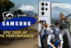 Top 5 Rekomendasi HP Samsung Terbaik 2024, Cocok untuk Bermain PUBG Mobile dengan Lancar