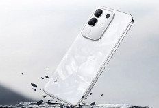 Spesifikasi Vivo Y29, HP Murah Rasa Flagship dengan Kamera 50MP OIS