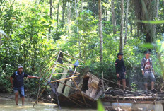 Hingga Kemarin 34 Alat Berat Sudah Dikeluarkan dari Lokasi Tambang Emas Ilegal di Muratara 