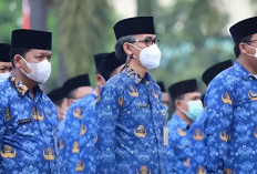 Usulan Pensiun ASN hingga 70 Tahun, Bagaimana Nasib CPNS 2025?