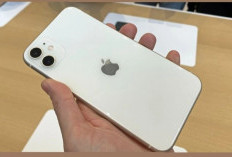 Kelebihan iPhone 11 yang Tetap Worth It: Performa, Kamera, dan Desain yang Tahan Lama