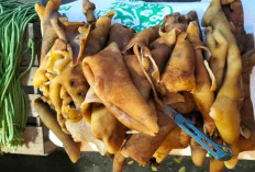 Kikil Gurih Jadi Pilihan Lauk Favorit Banyak Keluarga
