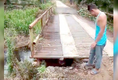 Jembatan di Desa Campur Sari Musi Rawas Nyaris Ambles, Begini Kondisinya