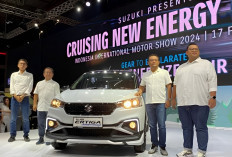 Deretan Mobil Hybrid di IIMS 2024, Suzuki Berikan Harga di Bawah Rp300 Juta