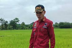 Cuaca Ekstrem, Kades Lubuk Kemang Muratara Himbau Warga Waspada Banjir