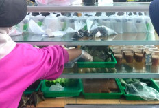 Resep Turun-Temurun, Kue Homemade Laris Manis di Terminal Lama