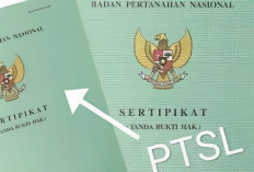 6 Cara Buat Sertifikat dengan Program PTSL Gratis, Yuk Ketahui Syarat dan Prosedurnya