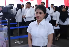 Skema PPPK Paruh Waktu Jadi Solusi Tenaga Honorer yang Tidak Lolos Seleksi 2024, Segini Kisaran Gajinya