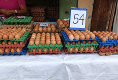 Harga Telur Ayam Ras di Pasar B Srikaton Tugumulyo Masih Stabil Selama Ramadan