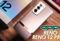 2 Brand Oppo Reno Series ini dapat Rekomendasi Kemendagri RI, Populer 2024 Komponen Banyak Dipasaran 