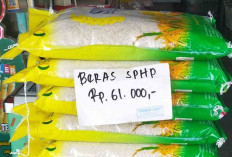 Tak Lagi Semurah Dulu! Beras SPH Ikut Melonjak, Warga Lubuk Linggau Mulai Resah 