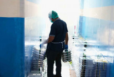 Benarkah Penyaluran MBG Dikurangi jadi 5 Kali Seminggu, Begini Penjelasan BGN 