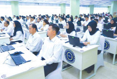 20 Agustus Deadline Pengusulan PPPK Paruh Waktu 