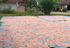 Terkendala Cuaca, Produksi Kerupuk Ubi Terhambat