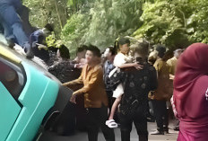 Bus Rombongan Pengantin Terperosok di PALI, Penumpang Panik Keluar Lewat Jendela